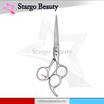 Hair Shears